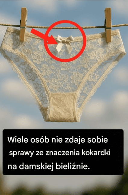 Dlaczego_damskie_majtki_maj__ma___kokardk__ Dlaczego_damskie_majtki_maj__ma___kokardk__