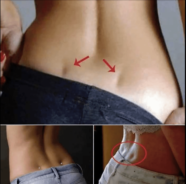 Do_eczki_l_d_wiowe__odkrywanie_ich_anatomicznych_i_symbolicznych_tajemnic