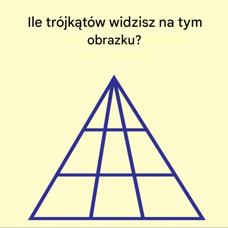 Ile_Twoim_zdaniem_tr_jk_t_w_jest_tu_ukrytych_