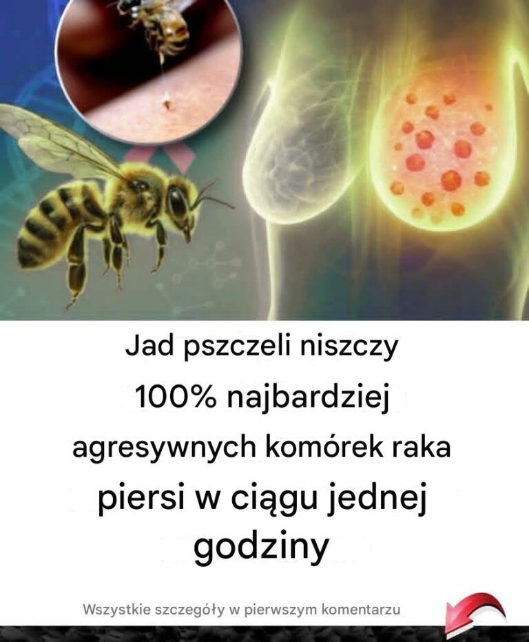 Jad_pszczeli_niszczy_100__najbardziej_agresywnych_kom_rek_raka_piersi_w_ci_gu_jednej_godziny