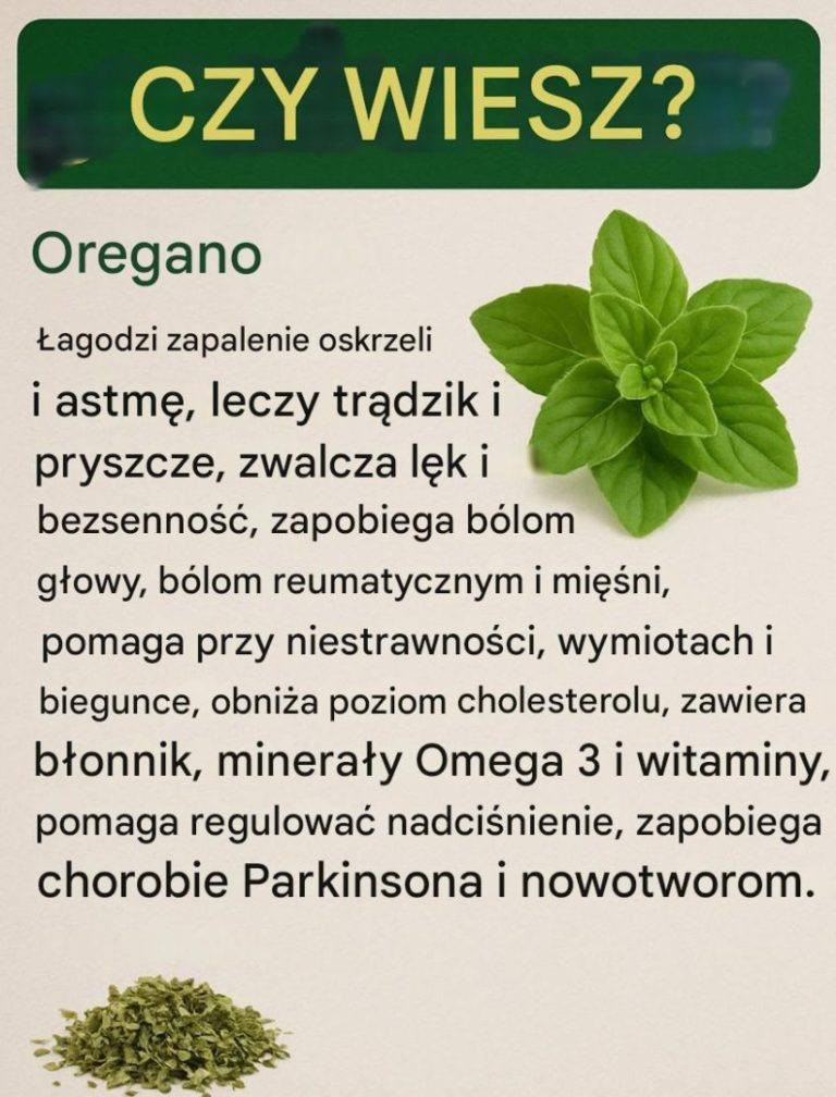Jak_zrobi__olejek_z_oregano_w_domu___korzy_ci__zastosowania_i__rodki_ostro_no_ci Jak_zrobi__olejek_z_oregano_w_domu___korzy_ci__zastosowania_i__rodki_ostro_no_ci