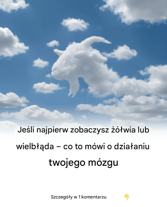 Je_li_najpierw_zobaczysz____wia_lub_wielb__da___co_to_m_wi_o_dzia_aniu_twojego_m_zgu Je_li_najpierw_zobaczysz____wia_lub_wielb__da___co_to_m_wi_o_dzia_aniu_twojego_m_zgu