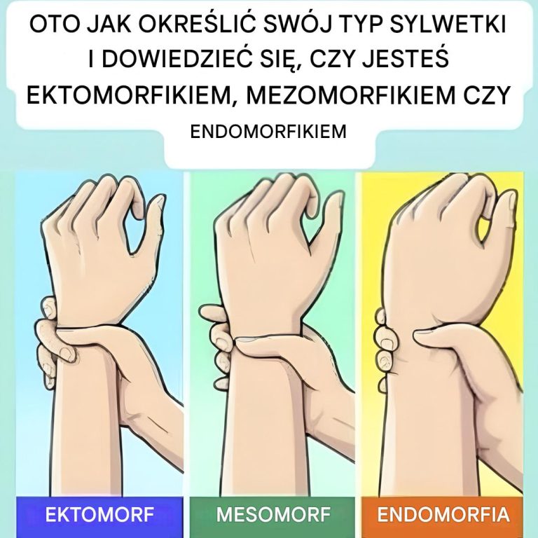 Jeste__ektomorfikiem__mezomorfikiem_czy_endomorfikiem__Odkryj_sw_j_typ_sylwetki_i_dowiedz_si___jak_go_najlepiej_wykorzysta__