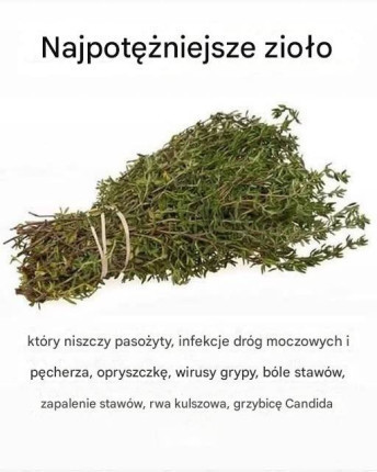 NAJSILNIEJSZE_ZIO_O__KT_RE_NISZCZY_PASO_YTY__ZAKA_ENIA_DR_G_MOCZOWYCH_I_P_CHERZA__WIRUSY_OPRYSZCZKI_I_GRYPY NAJSILNIEJSZE_ZIO_O__KT_RE_NISZCZY_PASO_YTY__ZAKA_ENIA_DR_G_MOCZOWYCH_I_P_CHERZA__WIRUSY_OPRYSZCZKI_I_GRYPY