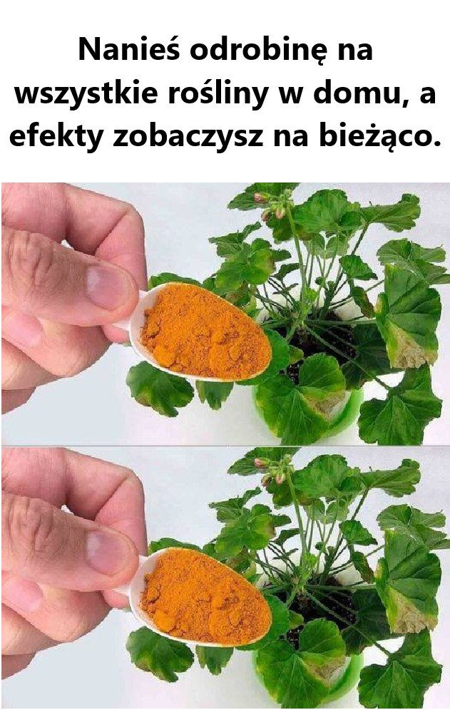 Nanie__odrobin__na_wszystkie_ro_liny_w_domu__a_efekty_zobaczysz_na_bie__co___See_more Nanie__odrobin__na_wszystkie_ro_liny_w_domu__a_efekty_zobaczysz_na_bie__co___See_more