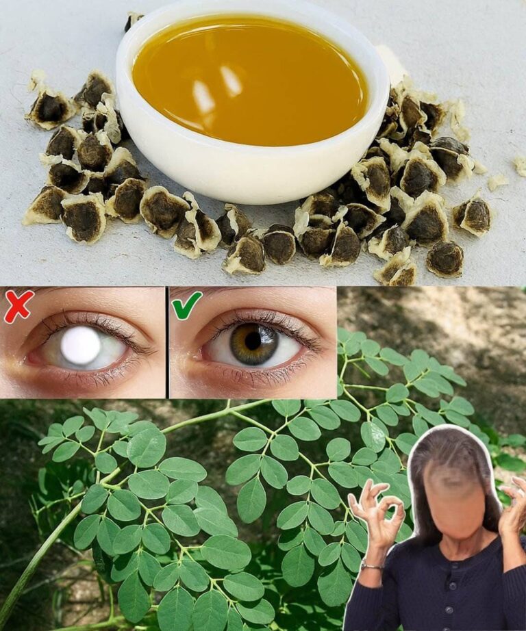 Nasiona_moringi__te_ma_e_cuda__kt_re_mog__odmieni__Twoje_zdrowie