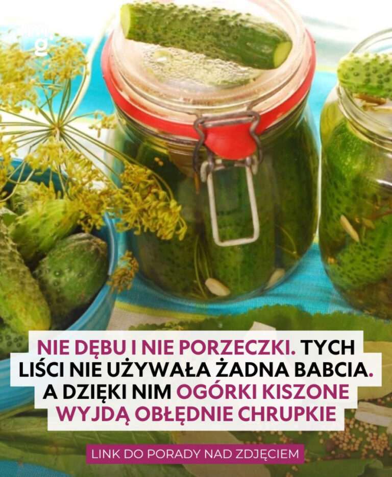 Nie_d_bu_i_nie_porzeczki__Tych_li_ci_nie_u_ywa_a__adna_babcia__a_dzi_ki_nim_og_rki_kiszone_wychodz__ob__dnie_chrupkie