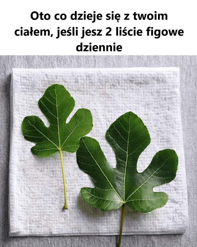 Nie_zdawa_em_sobie_sprawy___e_co__takiego_istnieje_