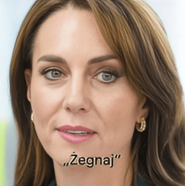 OSTATNIE_WYJ_CIE_KATE_MIDDLETON_U_BOKU_KSI_CIA_WILLIAMA___JAKI_NIESIE_PRZEKAZ_-1