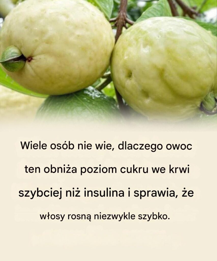 Odkryj_moc_tego_cudownego_owocu__kt_ry_obni_a_poziom_cukru_we_krwi-1 Odkryj_moc_tego_cudownego_owocu__kt_ry_obni_a_poziom_cukru_we_krwi-1