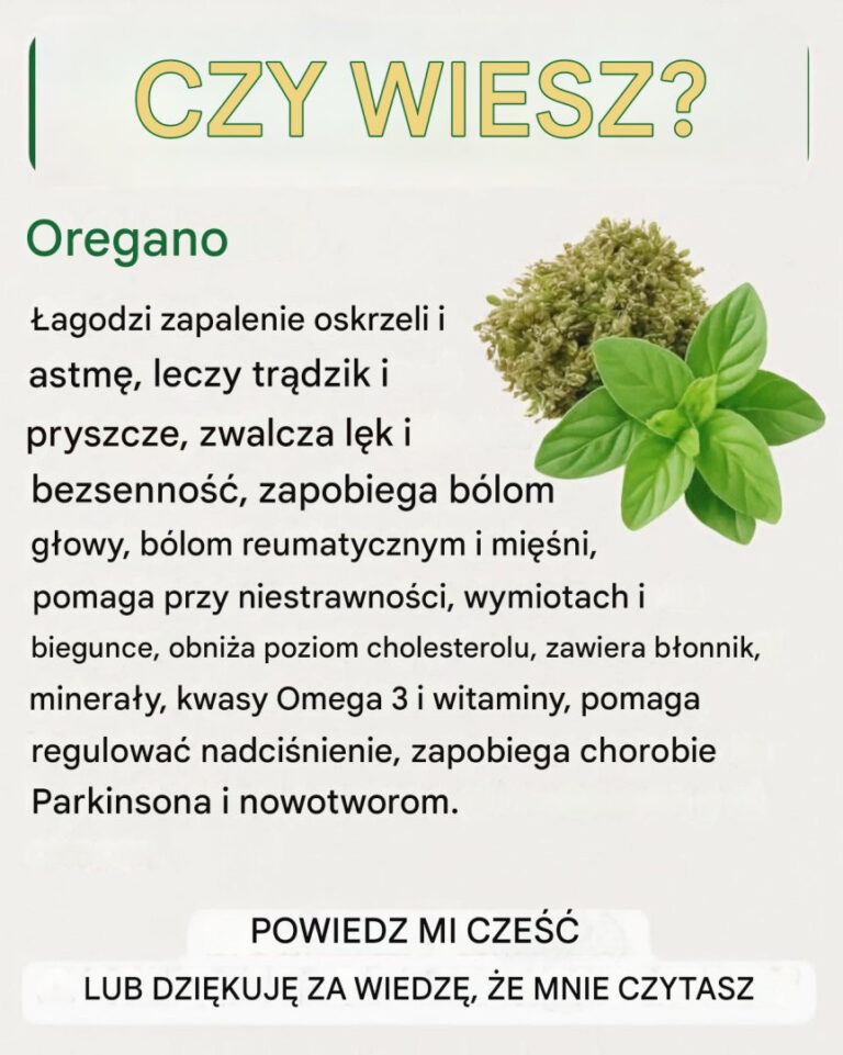 Oregano__naturalny__rodek_na_15_problem_w_zdrowotnych