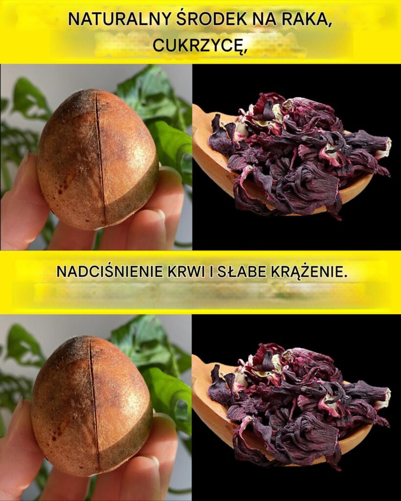Pestki_awokado__naturalne_lekarstwo_na_choroby_ Pestki_awokado__naturalne_lekarstwo_na_choroby_