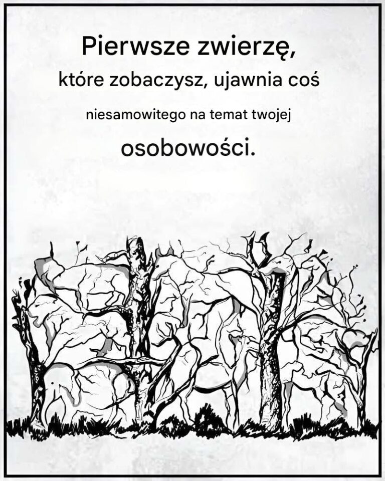 Pierwsze_zwierz___kt_re_zobaczysz__powie_co__o_Twojej_osobowo_ci_