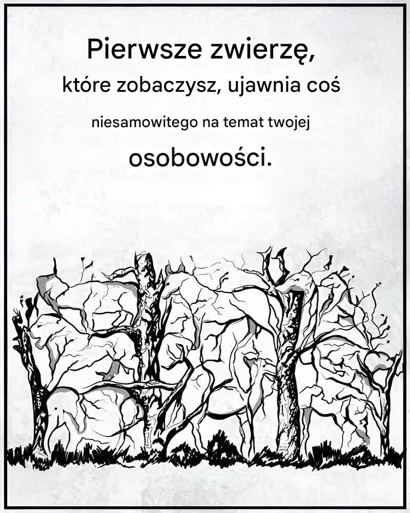 Pierwsze_zwierz___kt_re_zobaczysz__powie_co__o_Twojej_osobowo_ci_ Pierwsze_zwierz___kt_re_zobaczysz__powie_co__o_Twojej_osobowo_ci_