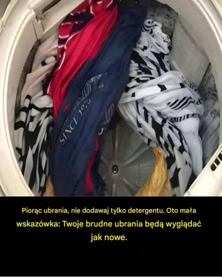 Pralka__Jakie_najcz_stsze_b__dy_niszcz__ubrania_