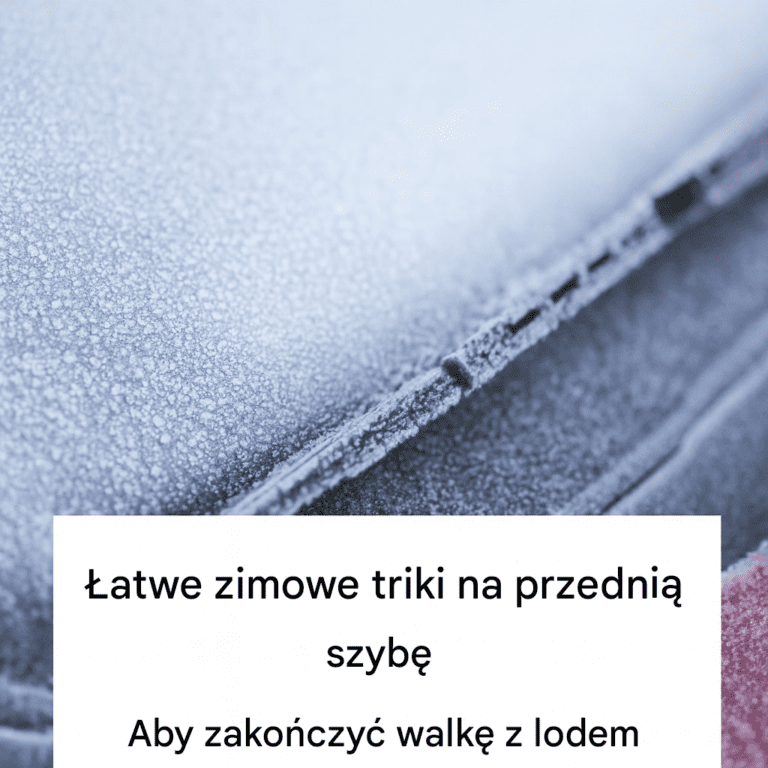 Proste_zimowe_triki_na_przedni__szyb___kt_re_pomog__Ci_pokona__l_d