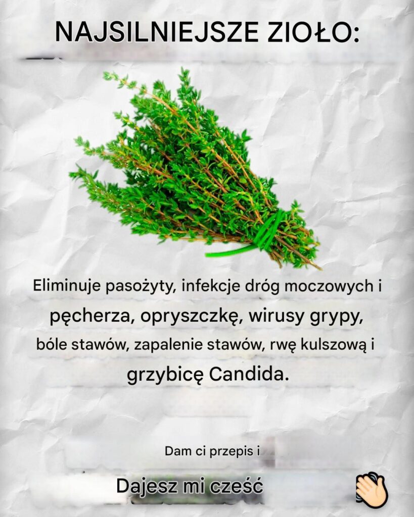 Przepisy__lekarstwa_i_wiele_wi_cej Przepisy__lekarstwa_i_wiele_wi_cej