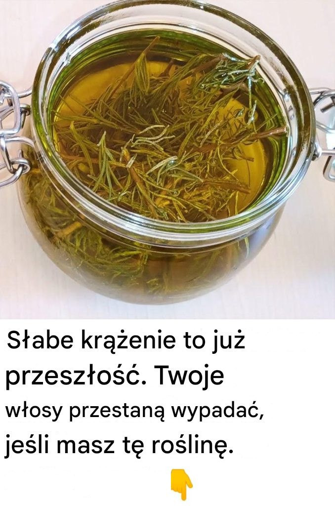S_abe_kr__enie_to_ju__przesz_o____Twoje_w_osy_przestan__wypada___je_li_masz_t__ro_lin__