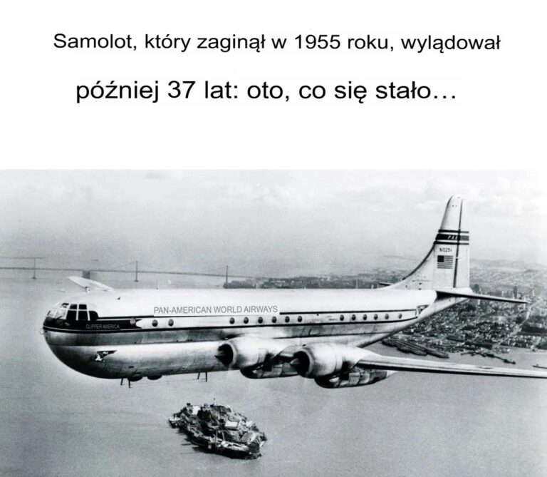 Samolot__kt_ry_znikn___w_1955_roku__powraca_po_37_latach__Oto__co_si__wydarzy_o_