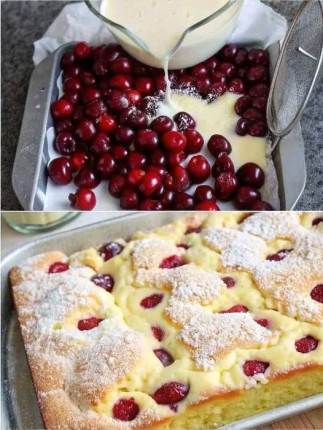 Szybkie_ciasto_twarogowe_z_wi_niami___piek__je_co_tydzie___w_5_minut_w_piekarniku_ Szybkie_ciasto_twarogowe_z_wi_niami___piek__je_co_tydzie___w_5_minut_w_piekarniku_