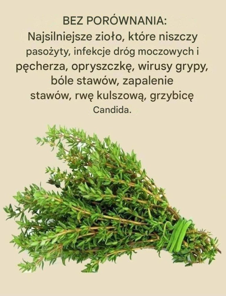 Tymianek__zio_o__kt_re_niszczy_paso_yty__wirusy_grypy_i_wiele_innych Tymianek__zio_o__kt_re_niszczy_paso_yty__wirusy_grypy_i_wiele_innych