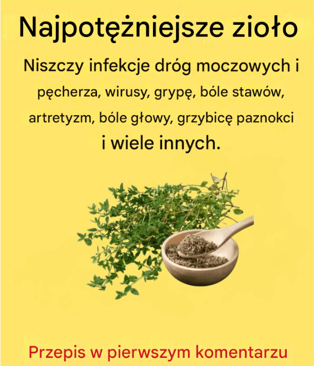 Tymianek_na_zawroty_g_owy_i_fibromialgi___skuteczne_naturalne__rodki