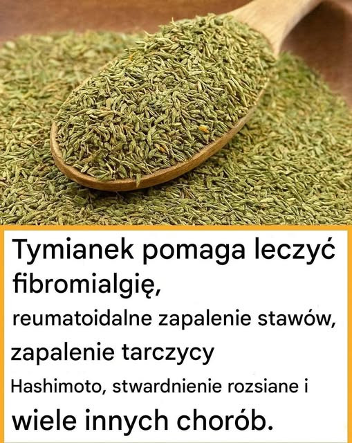 Tymianek_niszczy_infekcje_gard_a__gryp___zwalcza_infekcje_dr_g_oddechowych__See_more Tymianek_niszczy_infekcje_gard_a__gryp___zwalcza_infekcje_dr_g_oddechowych__See_more