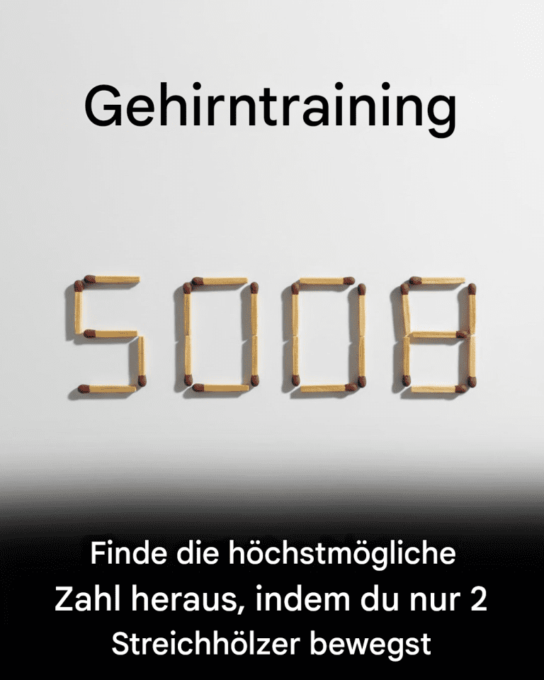 Verschiebe_zwei_Streichh_lzer__um_die_h_chste_Zahl_zu_bilden_
