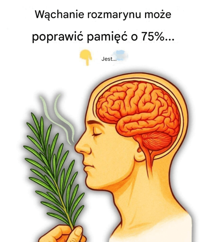 W_chanie_rozmarynu_mo_e_poprawi__pami___o_75__