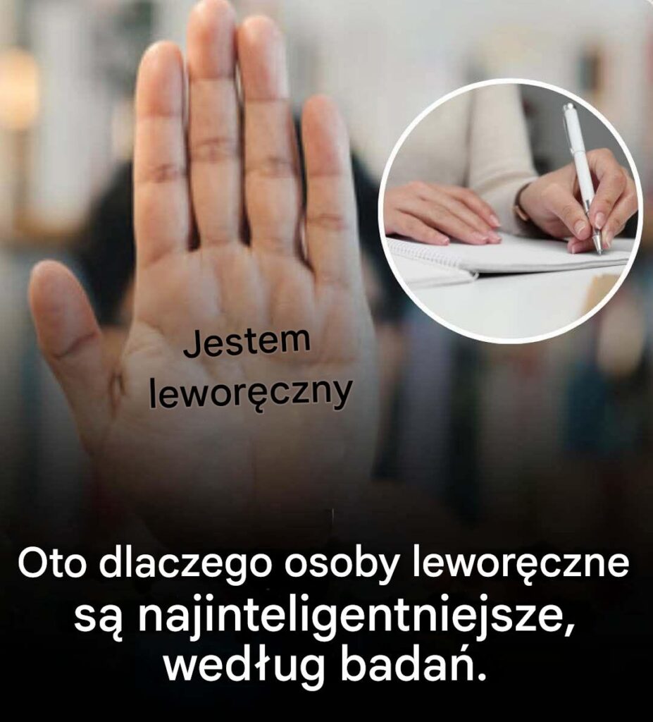 Wed_ug_nauki_osoby_lewor_czne_s__naprawd__genialne_ Wed_ug_nauki_osoby_lewor_czne_s__naprawd__genialne_