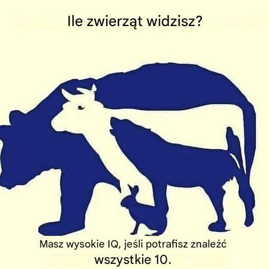 Wi_kszo___ludzi_nie_potrafi_znale___wszystkich_10_zwierz_t Wi_kszo___ludzi_nie_potrafi_znale___wszystkich_10_zwierz_t