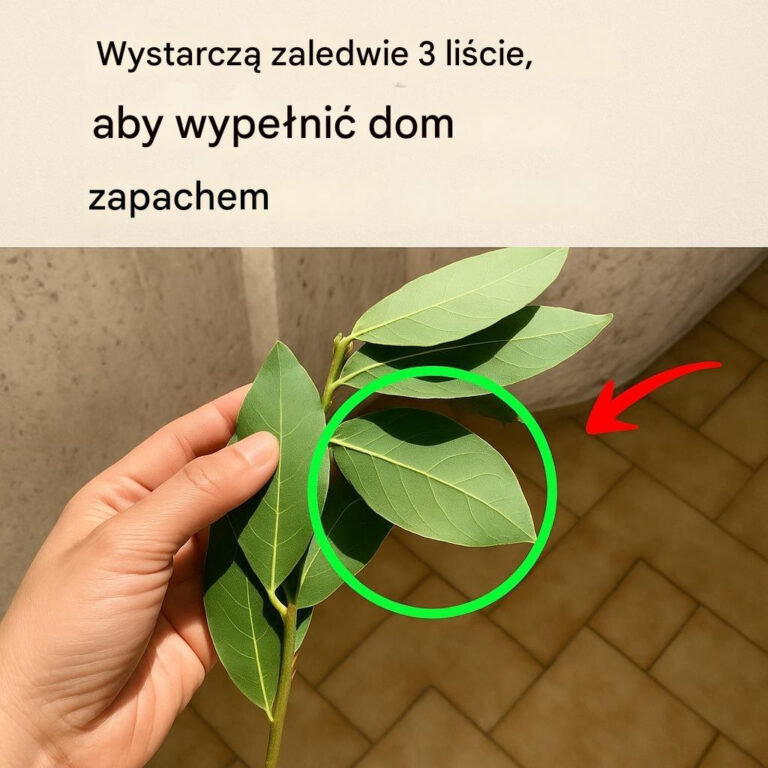 Wystarcz__3_li_cie_tej_ro_liny__aby_nada__domowi_zapach