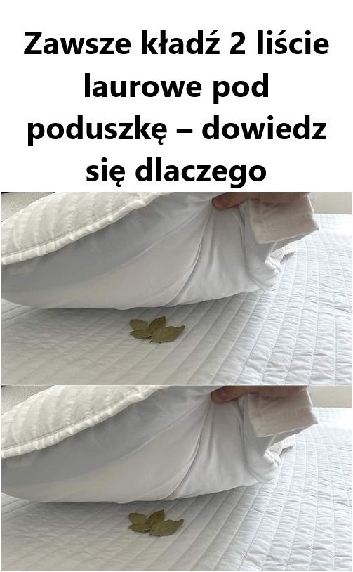 Zawsze_k_ad__2_li_cie_laurowe_pod_poduszk____dowiedz_si__dlaczego Zawsze_k_ad__2_li_cie_laurowe_pod_poduszk____dowiedz_si__dlaczego