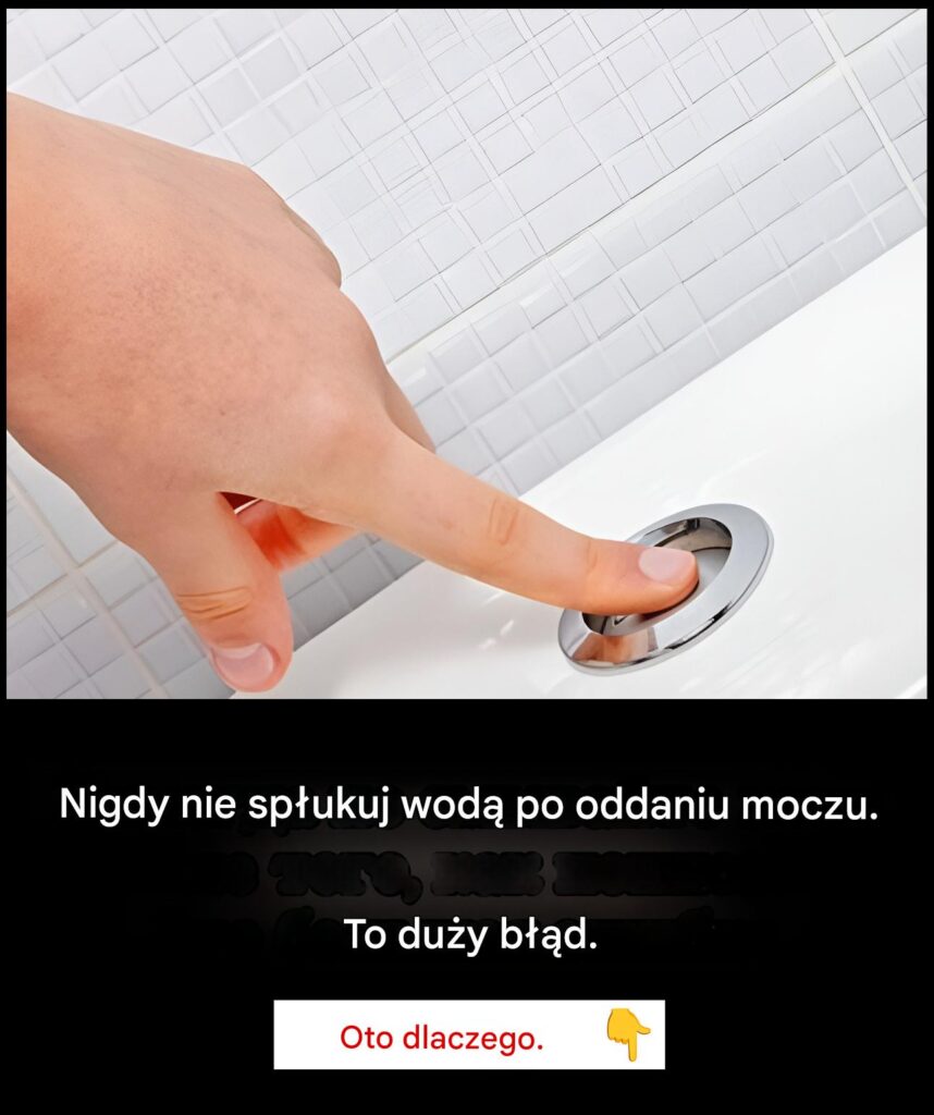 ty__Czekaj__Czemu_nie_spuszcza__wody_w_toalecie_za_ka_dym_razem_ ty__Czekaj__Czemu_nie_spuszcza__wody_w_toalecie_za_ka_dym_razem_