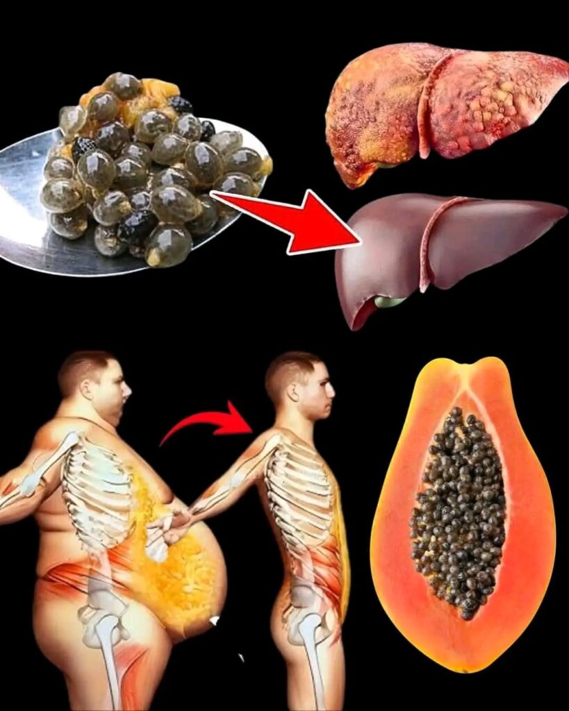 17_niesamowitych_korzy_ci_z_nasion_papai_i_jak_wykorzysta__je_jako_naturalny__rodek_leczniczy 17_niesamowitych_korzy_ci_z_nasion_papai_i_jak_wykorzysta__je_jako_naturalny__rodek_leczniczy