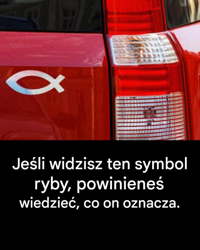 Co_oznacza_symbol_ryby_na_samochodzie_