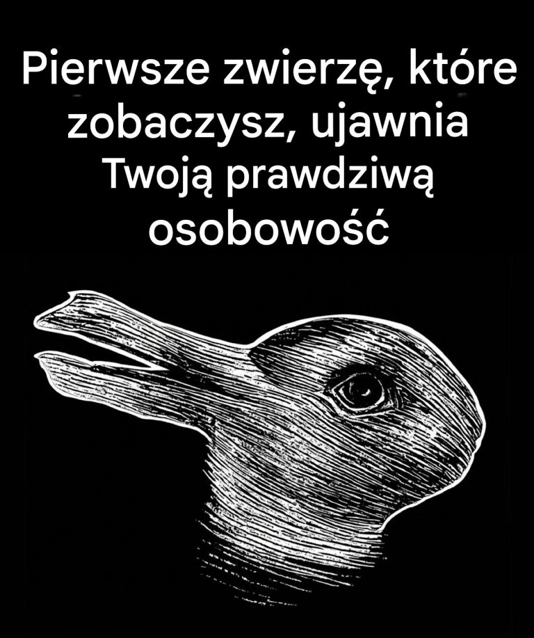 Co_pierwsze_zwierz___kt_re_zauwa_ysz__mo_e_powiedzie__o_Twojej_osobowo_ci-1