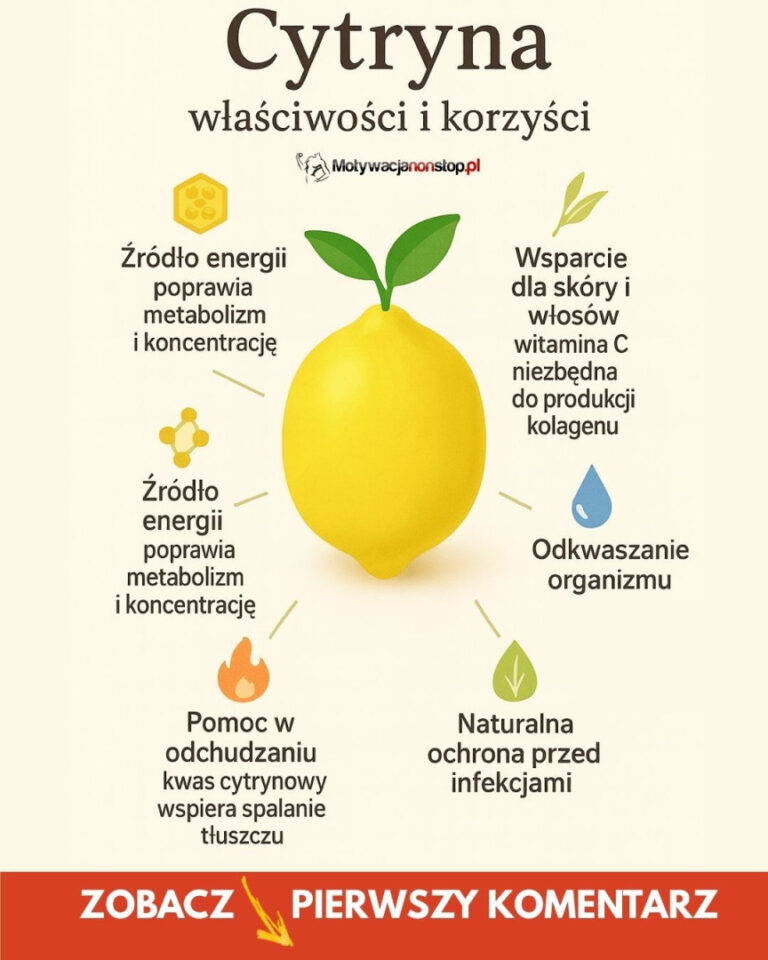 Cytryna___z_oty_owoc_zdrowia_i_smaku