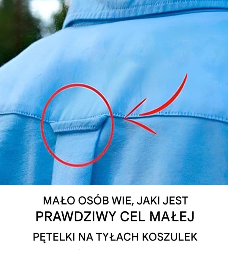 Czy_zastanawia_e__si__kiedy___do_czego_s_u_y_ma_a_p_telka_z_ty_u_koszulki_