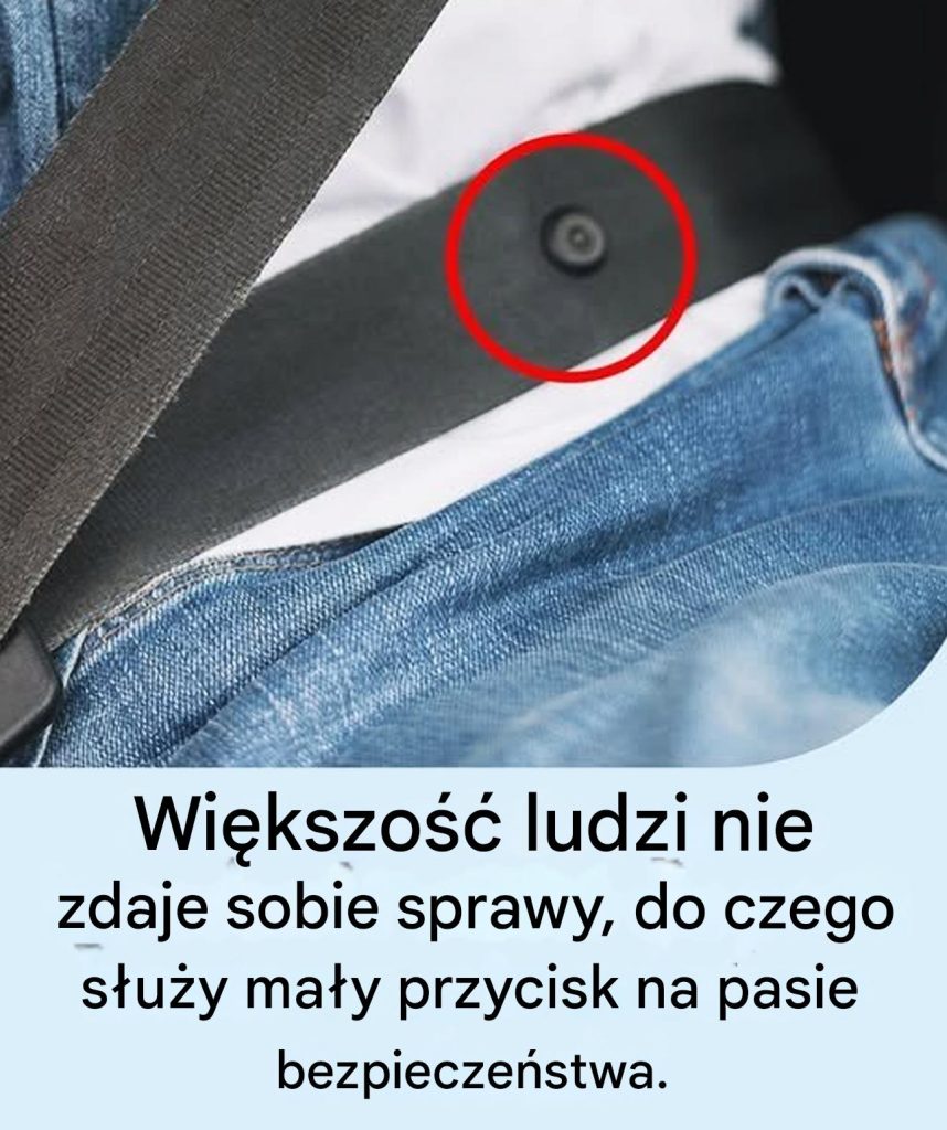 Do_czego_s_u_y_przycisk_pas_w_bezpiecze_stwa_ Do_czego_s_u_y_przycisk_pas_w_bezpiecze_stwa_