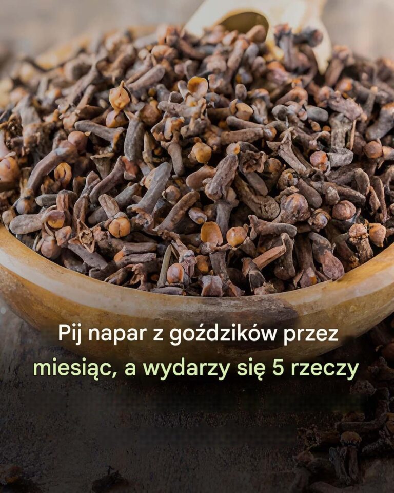 Korzy_ci_z_naparu_z_go_dzik_w-1