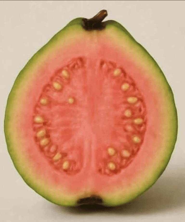 Lekarze_UJAWNIAJ____e_herbata_z_li_ci_guawy_powoduje_