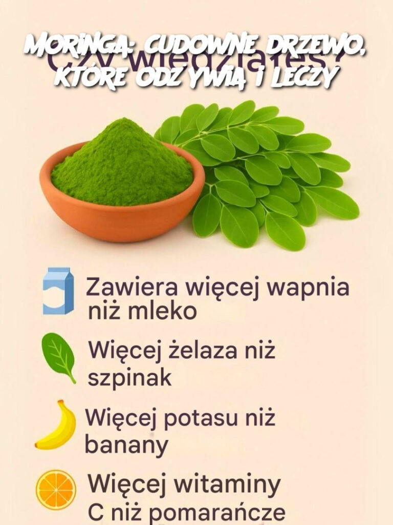 Moringa__cudowne_drzewo__kt_re_od_ywia_i_leczy__See_more Moringa__cudowne_drzewo__kt_re_od_ywia_i_leczy__See_more