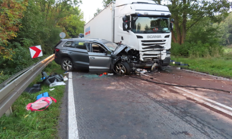 NIE__YJE_MATKA__OJCIEC_I_DW_JKA_DZIECI_WALCZ__O__YCIE___TRAGEDIA_NA_DOLNYM__L_SKU