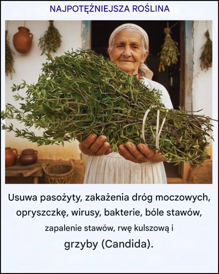 Najpot__niejsza_ro_lina_lecznicza__o_kt_rej_wiele_os_b_wci___zapomina