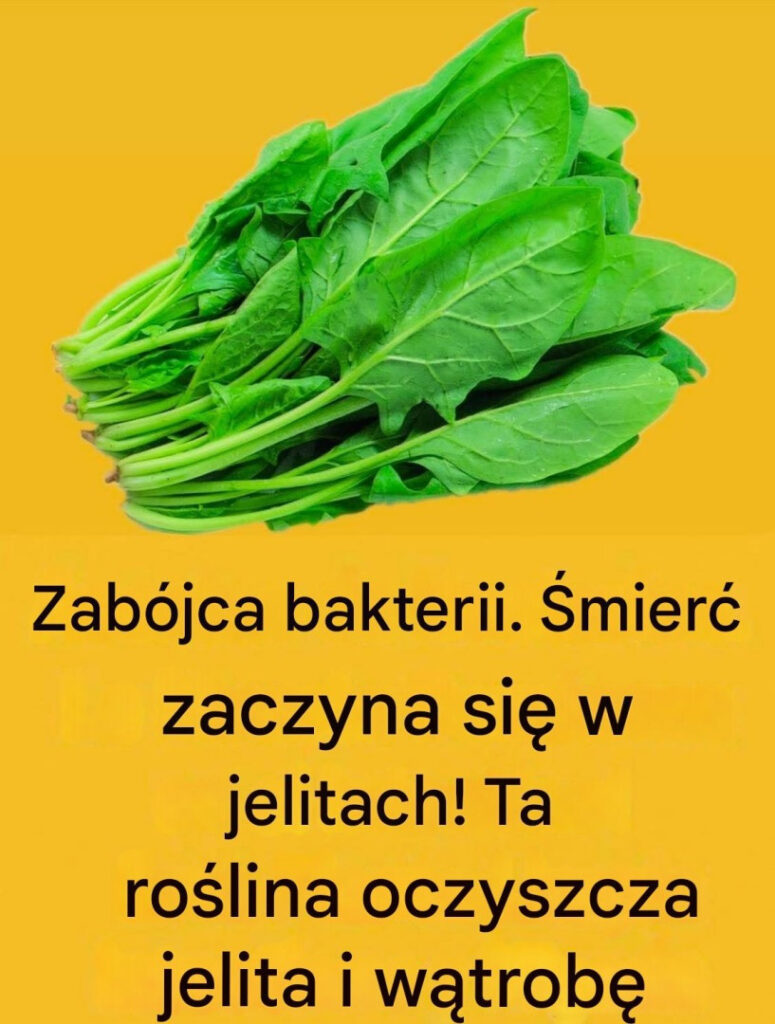 Naturalny__rodek_ze_szpinakiem_i_cytryn__na_redukcj__t_uszczu_brzusznego__See_more
