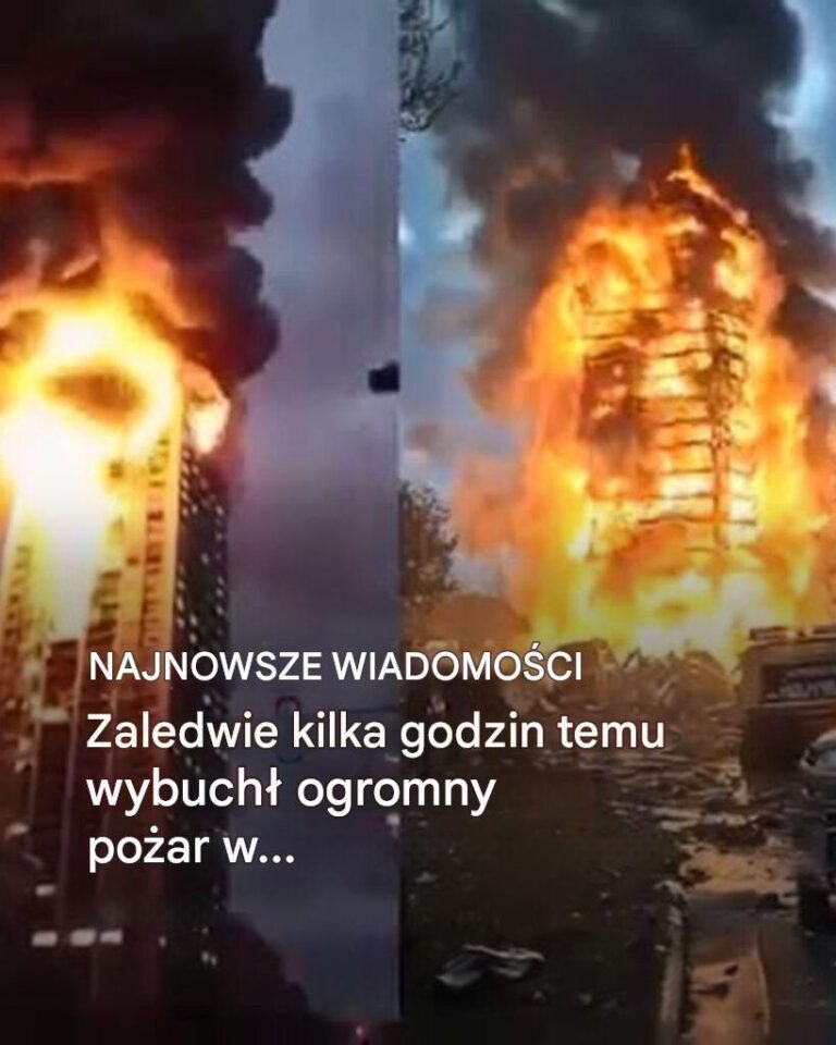 Pary___Po_ar_powoduje__pot__n__eksplozj___na_cmentarzu_Montparnasse__powoduj_c_nieodwracalne_szkody