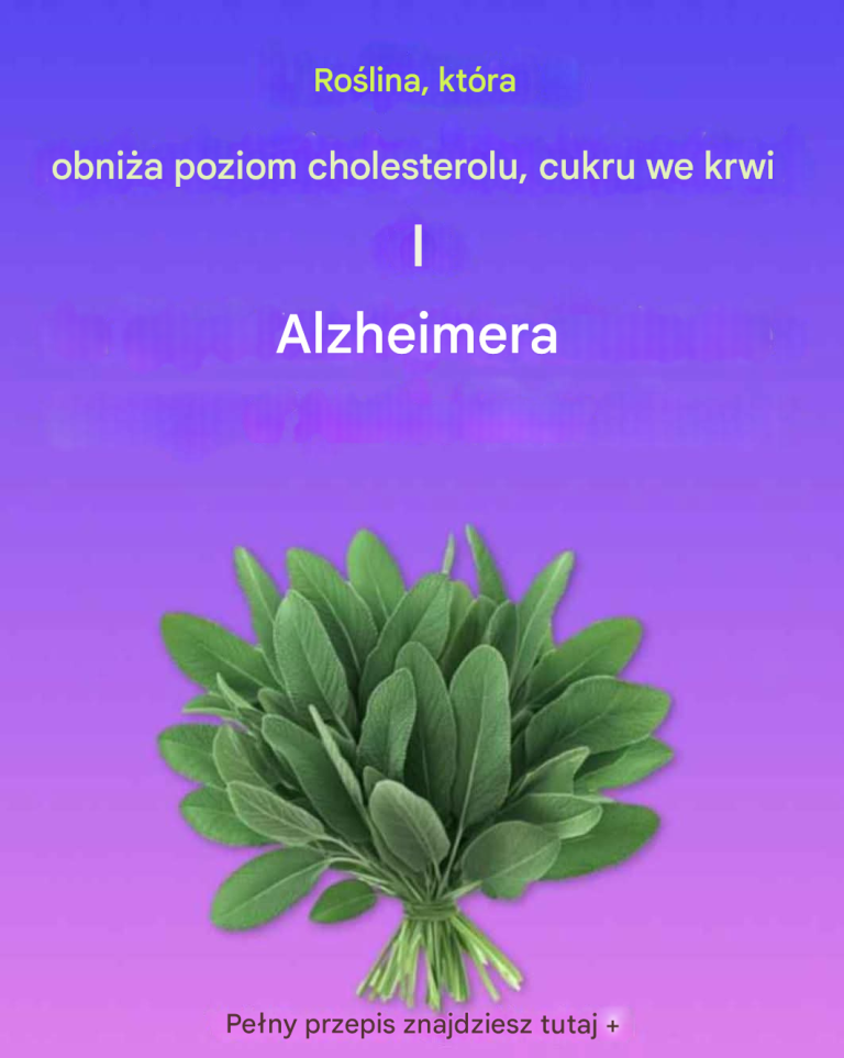 Ro_lina_obni_aj_ca_poziom_cholesterolu__cukru_we_krwi_i_chorob__Alzheimera