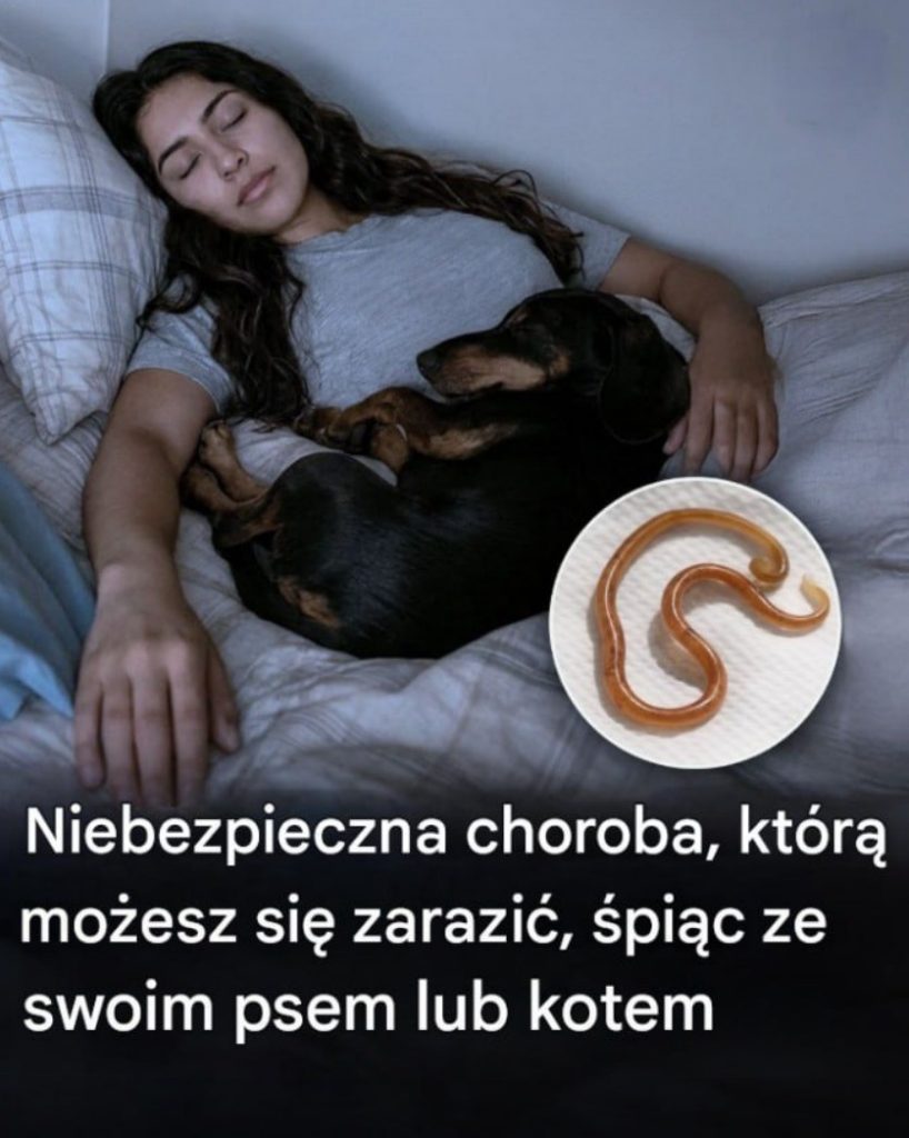 Spanie_z_psem_lub_kotem__co_tak_naprawd__zagra_a_Twojemu_zdrowiu Spanie_z_psem_lub_kotem__co_tak_naprawd__zagra_a_Twojemu_zdrowiu