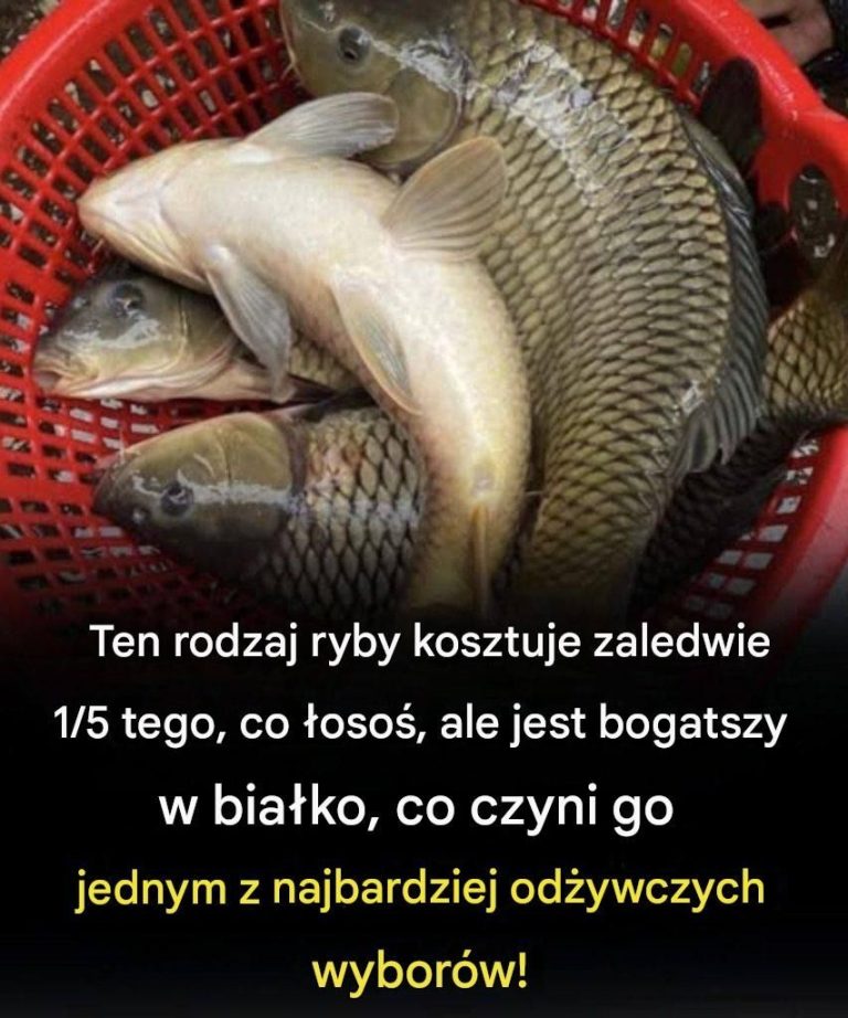 Ten_rodzaj_ryby_kosztuje_zaledwie_1_5_tego__co__oso___ale_jest_bogatszy_w_bia_ko__co_czyni_go_jednym_z_najbardziej_od_ywczych_wybor_w_